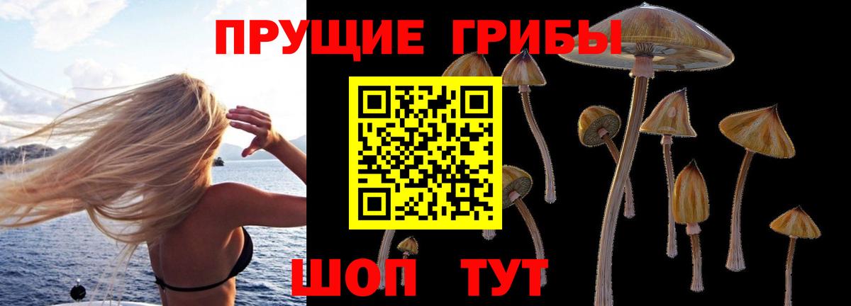 Псилоцибиновые грибы Magic Shrooms Нерюнгри